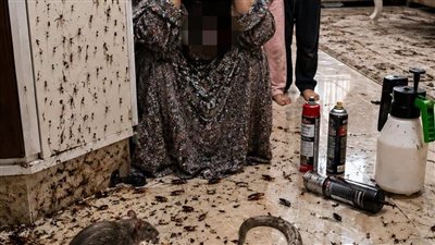 حشرات فى بيتى 